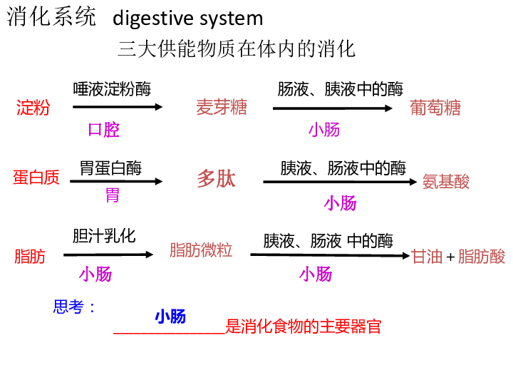 人体八大系统 21张ppt