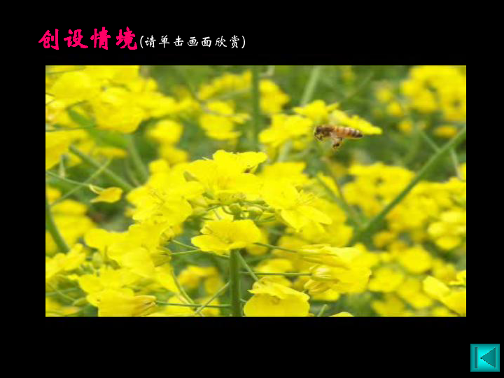 46b77195e9f2d2767abe42434e6fa54b.png