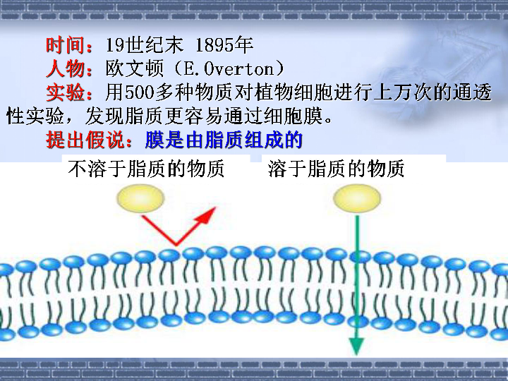 人口预测模型ppt_ppt背景图片(3)