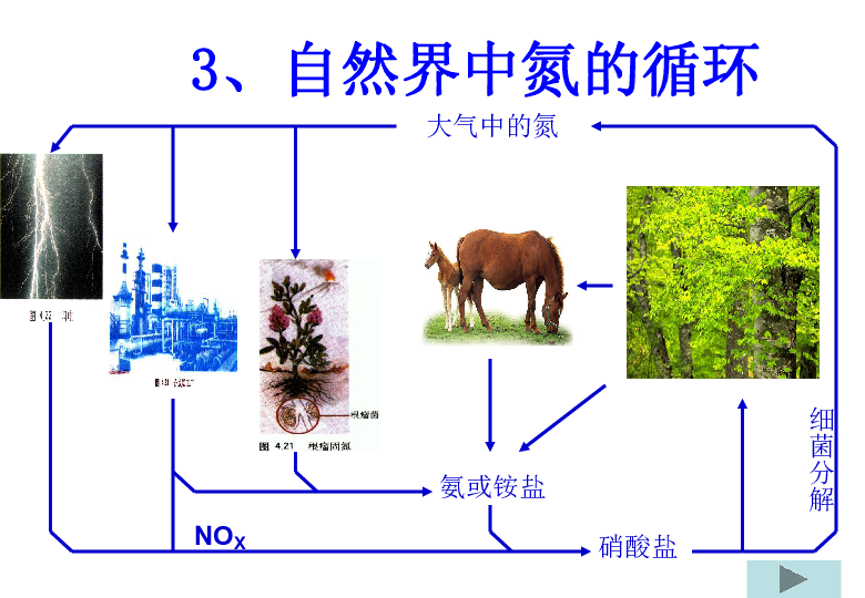 九年级下册 第三章 物质的转化和元素的循环 3 自然界中的氮循环  [id