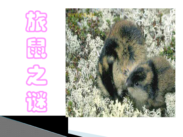 成语什么喊打_成语故事图片(2)