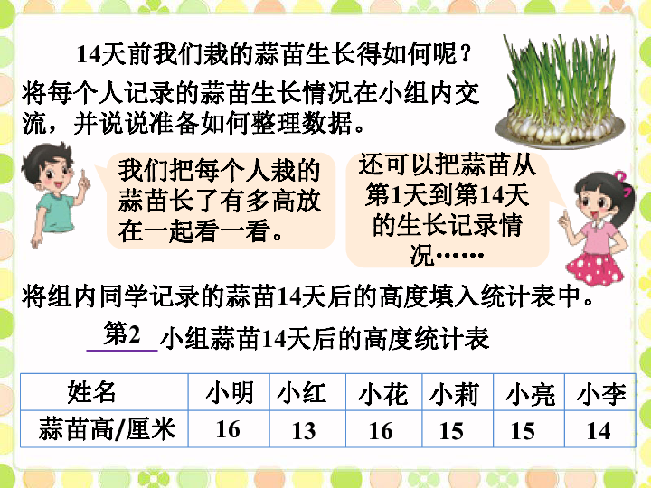 四年级下册数学课件-6.2栽蒜苗(一) 北师大版(共18张ppt)