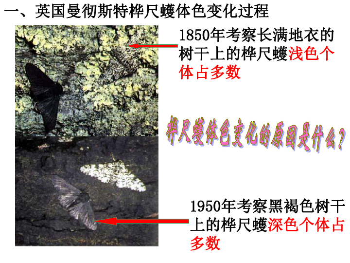 人口与人种学案七年级_七年级地理上册4.1人口与人种学案 新版 新人教版(3)