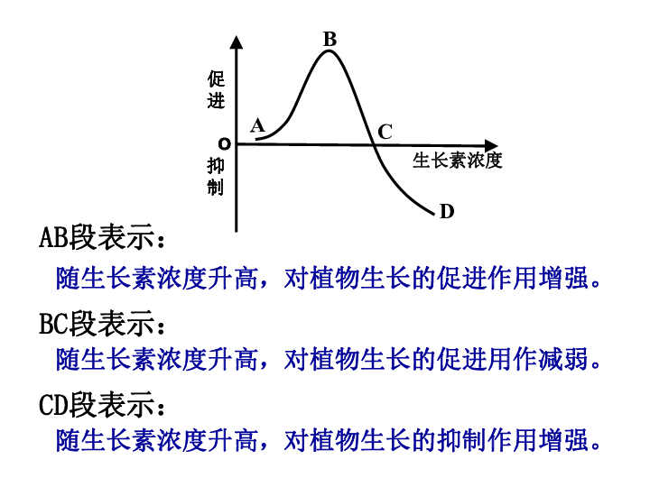 新乐市人口_新乐市城市建设投资开发有限责任公司公开招聘工作人员公告(3)