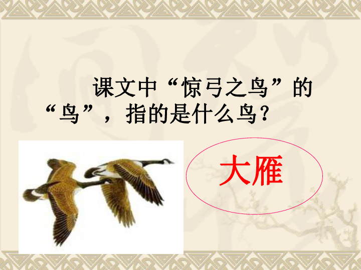 鸡和鸟猜成语_看图猜成语(2)