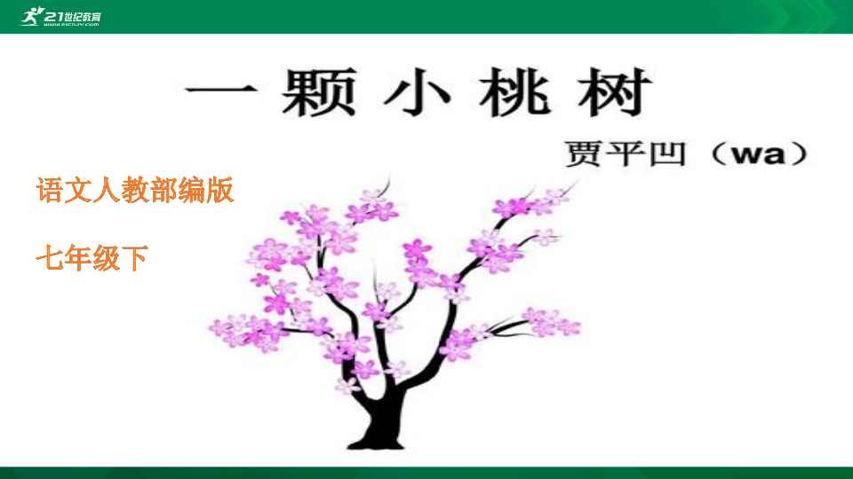 18《一棵小桃树》课件