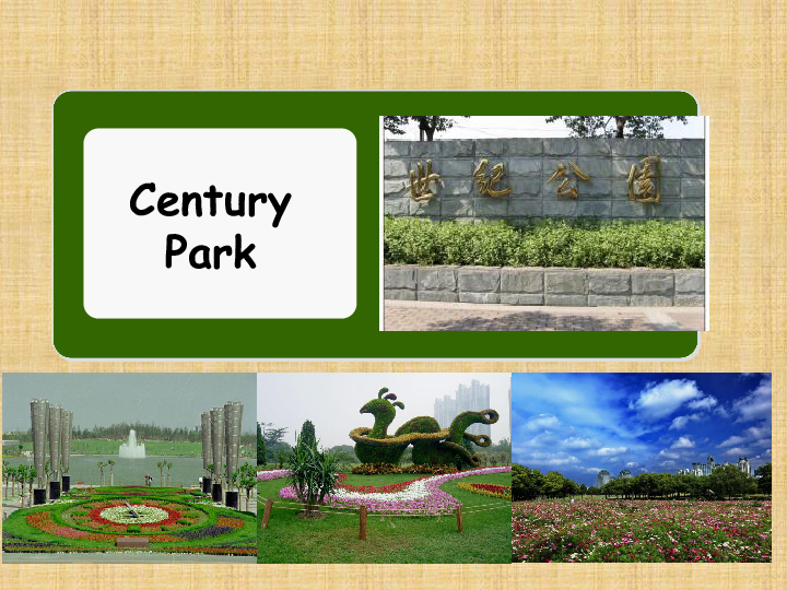 module 4 the natural world unit 2 at century park 课件