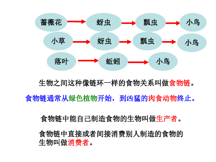 黄雀螳螂猜成语_黄雀吃螳螂图片(3)