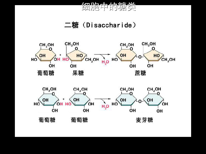 55c468d601072c073befd932b58e3ae1.png