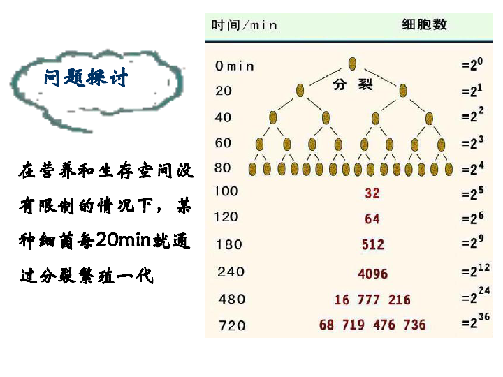 人口营养密度_十种超消脂瘦身食物(3)