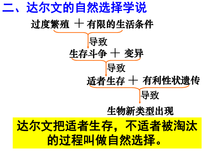 人口理论课件_人教版初中物理八年级下册第十章第二节10.2阿基米德原理课件