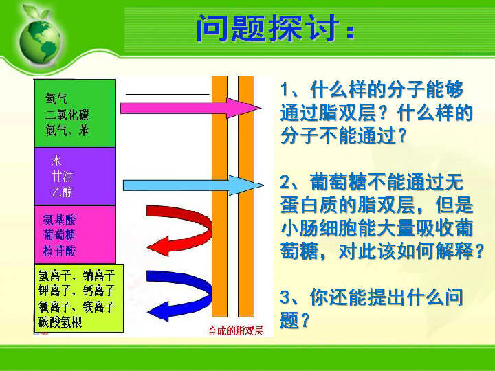 绥江多少人口_绥江新城照片