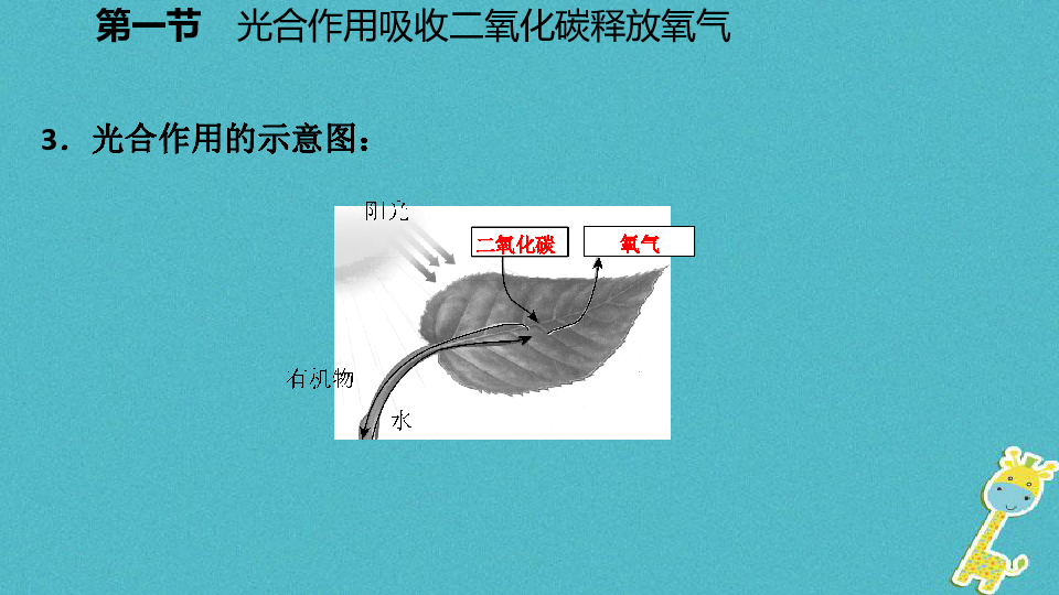 幻灯片运用了光的什么原理_简爱运用了什么手法(2)