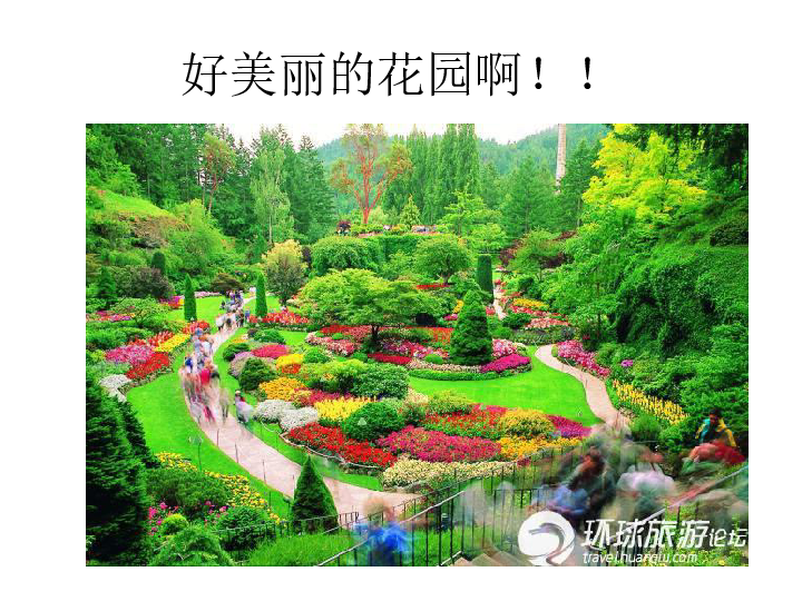 美术二年级下岭南版2.5美丽的花园课件(37张)