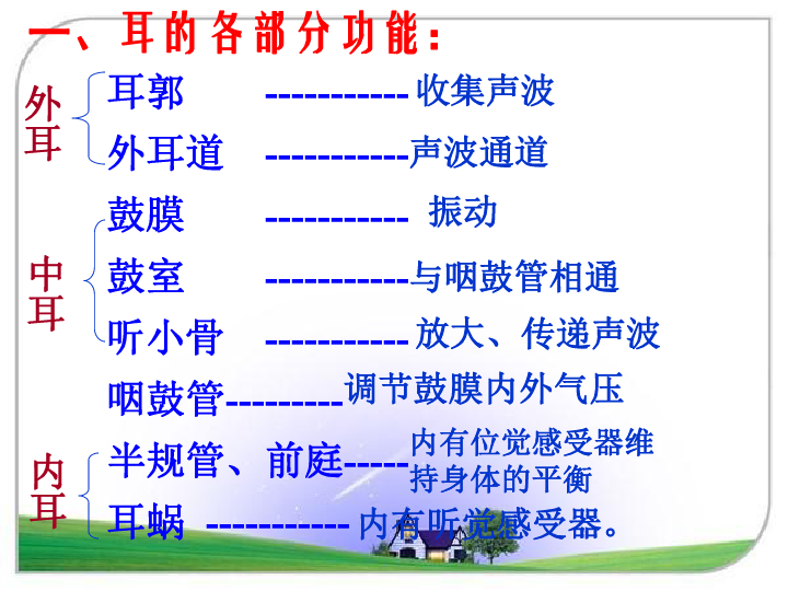 听觉障碍人口_听觉障碍图片(2)