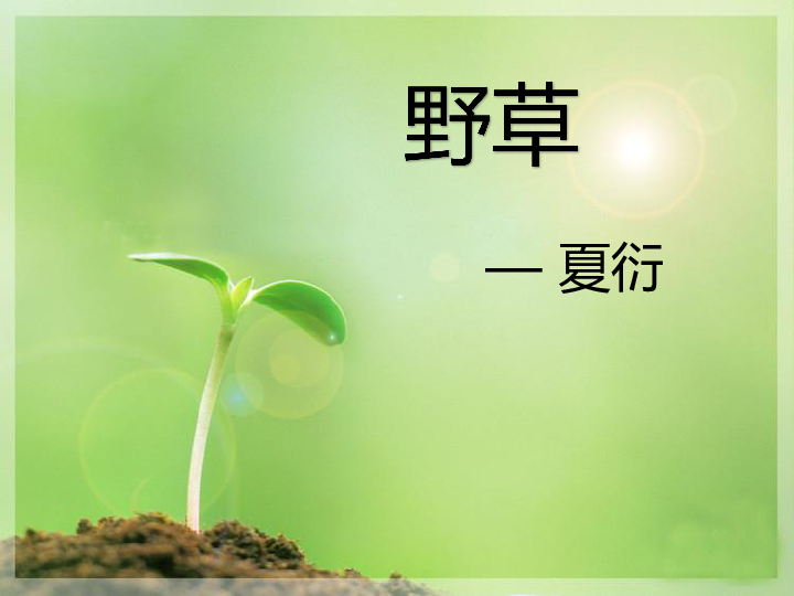 大风起把头摇一摇简谱_起风了简谱