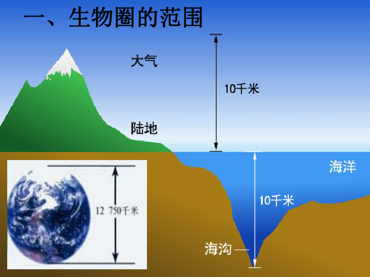 2.3生物圈是最大的生态系统(共38张ppt)