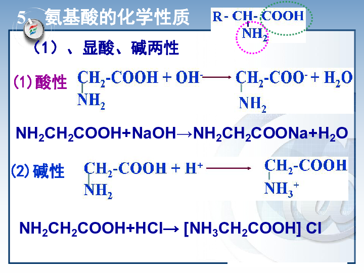 30人口p_人口普查