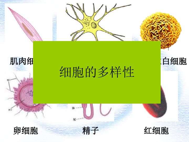 635fef66573591a0e5a76467281034ee.png