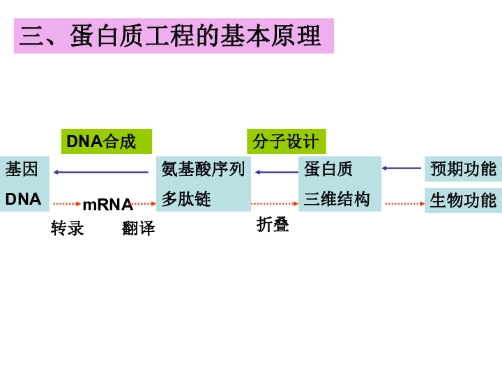 ppt人口专题_高三地理人口专题ppt下载