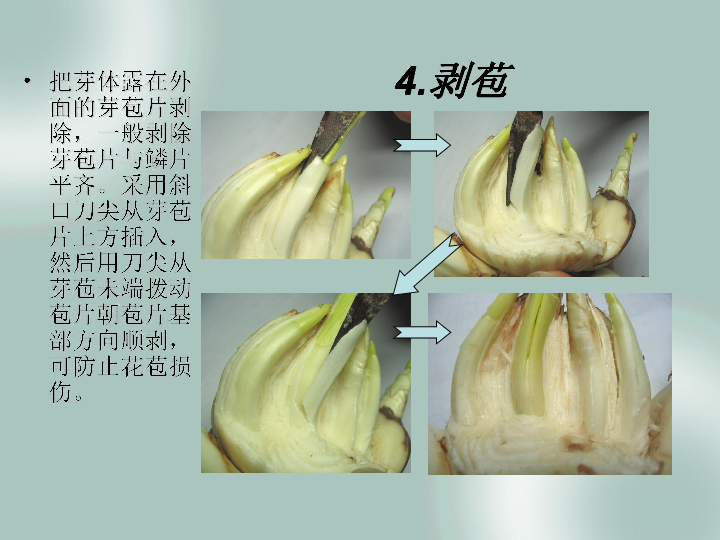 水仙花雕刻课件