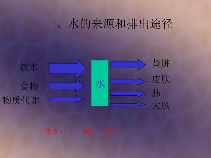 人体稳态的平衡和调节[上学期]