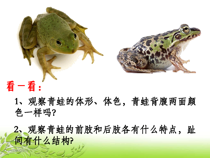 6a220e081e6e496d65ed4b79ea6af94e.png