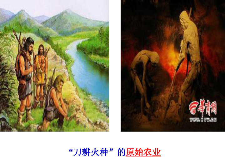 第一课原始先民的家园 走访原始的农业聚落 课件(38张)
