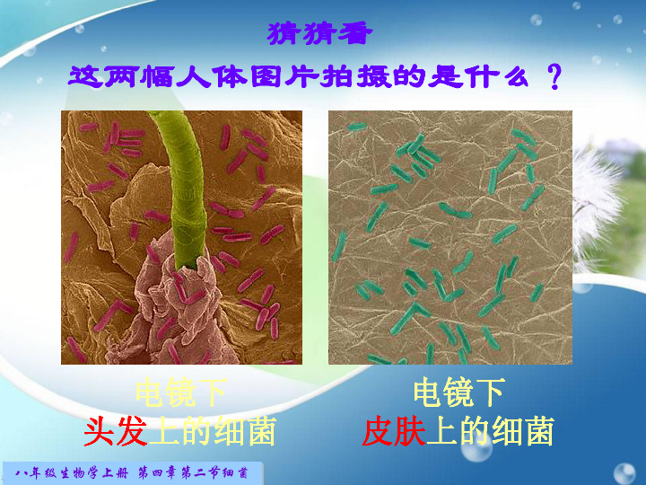 17世纪的荷兰经济占全球总量_17世纪荷兰油画(3)
