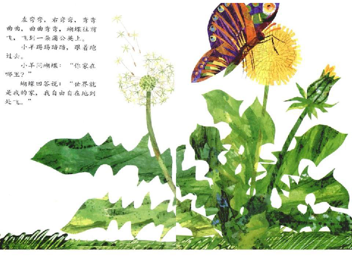 小羊和蝴蝶 绘本故事阅读(ppt版)