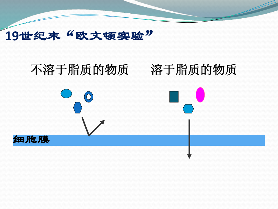 人口预测模型ppt_ppt背景图片(2)