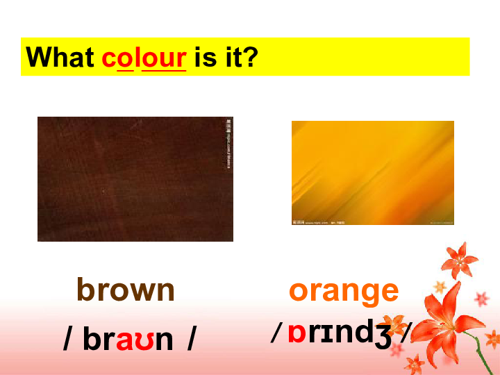 starter module3 my english book unit 3 what colour is it 课.