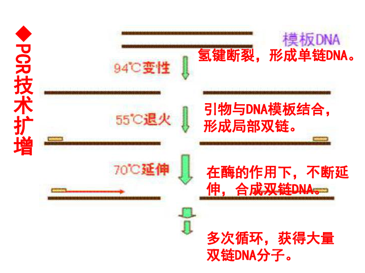 中国的节日都是什么原理_中国传统节日