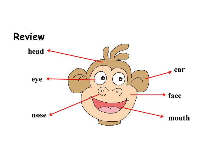 unit 1 my body part c 课件(共15张ppt)