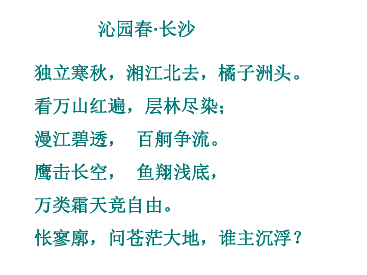 成语人间稠什么_稠状是什么意思(3)