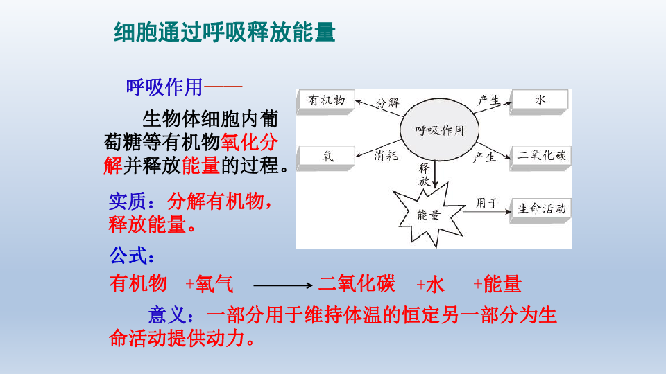 北师大版生物七年级下册:第四单元 第十章 人体的能量供应 复习.