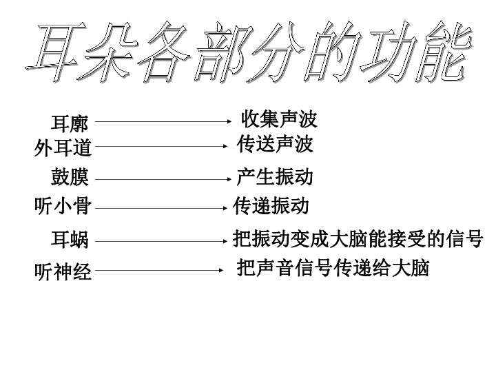 二耳其总人口(3)