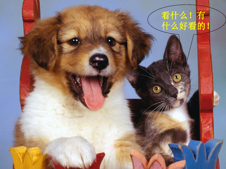 7d9c3492ec84fd3a2c7590ff99cf2651.png