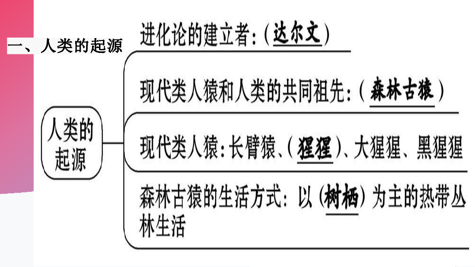 人教版七年级下册4.1人的由来复习课件(共19张ppt)