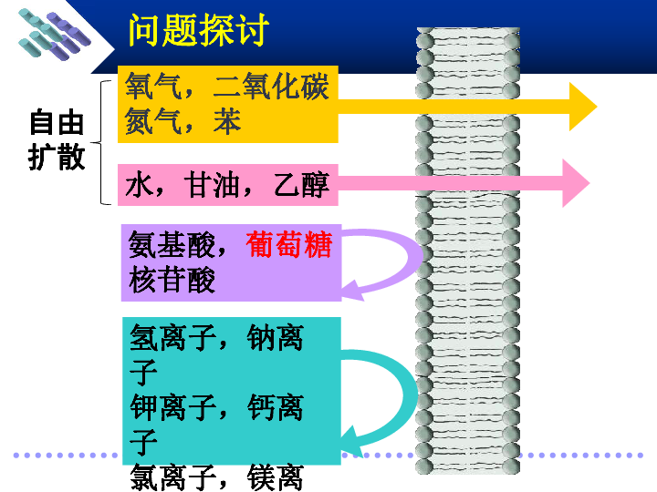 汕头人口城市排名第几_汕头城市图片(3)