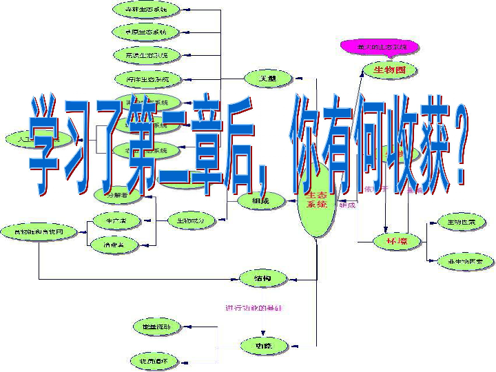 生态什么成语有哪些_偎的成语有哪些(3)