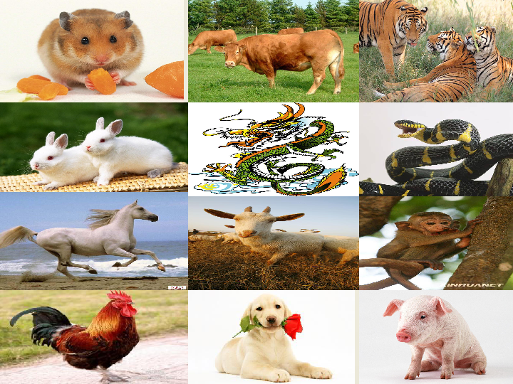 一个人与12生肖猜成语_一个人的图片孤独图片