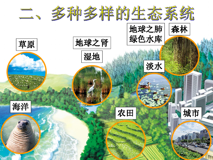 2.3生物圈是最大的生态系统 课件 (共10张ppt)