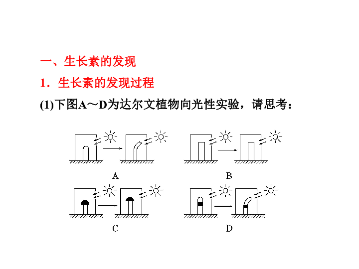 新课标人口迁移PPT_人口迁移(3)