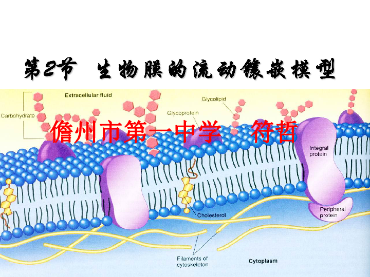 人口流动模型_中国人口省际流动重力模型的参数标定与误差估算(2)