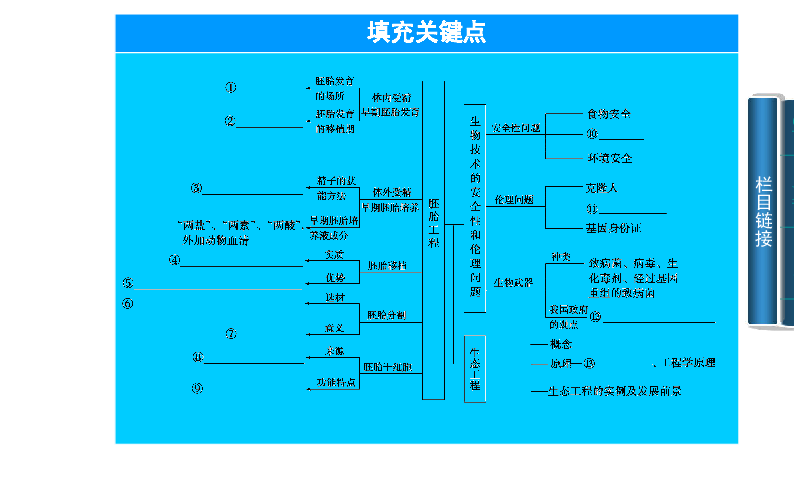 胚胎移植原理是什么_胚胎是什么样子的图片(2)