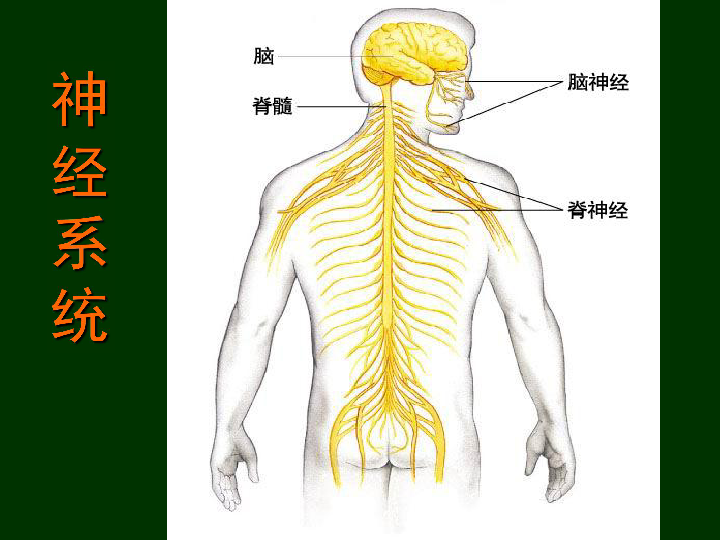 9b39d6d020e924bf828a6d1161c97457.png