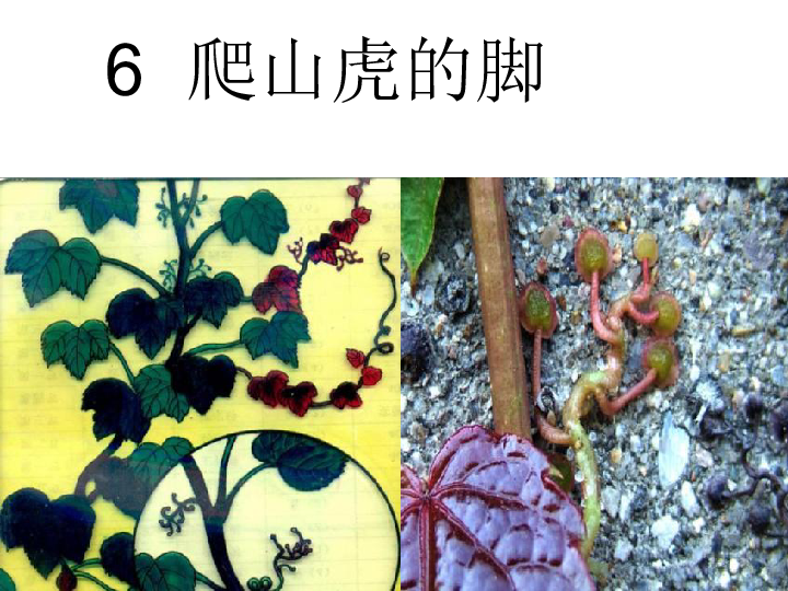 9c337bcf51e38dffa0effb040d778010.png