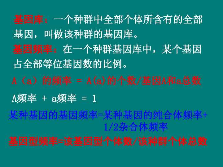 人口理论课件_人教版初中物理八年级下册第十章第二节10.2阿基米德原理课件(2)