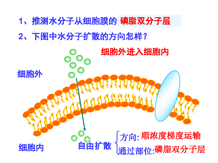 人口流动的模型_中国人口省际流动重力模型的参数标定与误差估算(3)